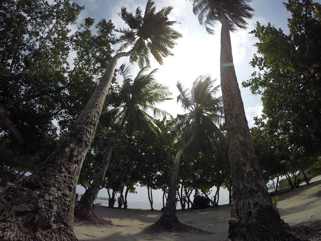 Rip Tide Vacation Inn, K.Guraidhoo Guraidhoo  Εξωτερικό φωτογραφία