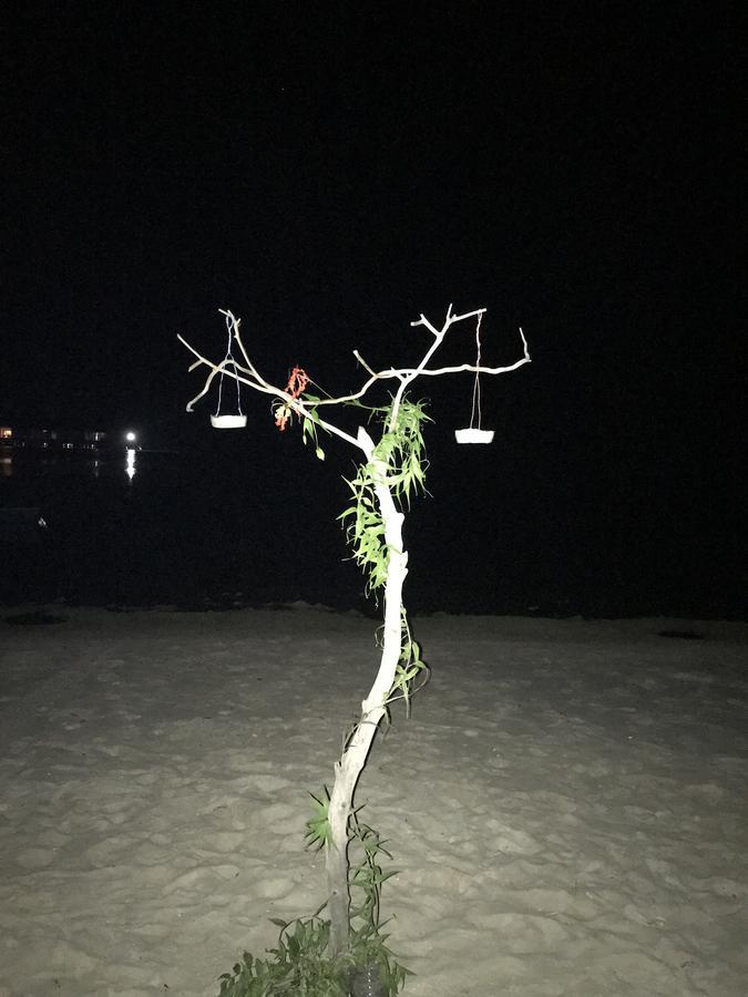 Rip Tide Vacation Inn, K.Guraidhoo Guraidhoo  Εξωτερικό φωτογραφία