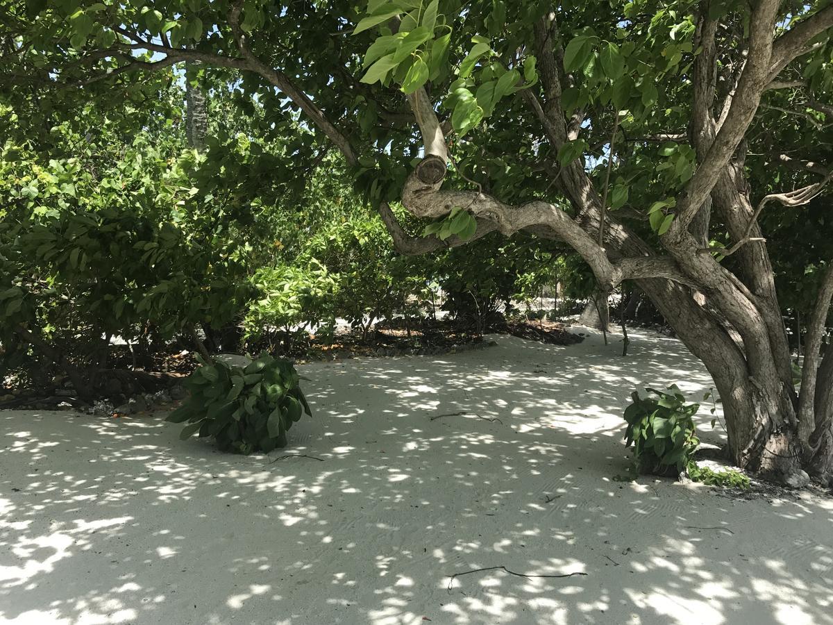 Rip Tide Vacation Inn, K.Guraidhoo Guraidhoo  Εξωτερικό φωτογραφία