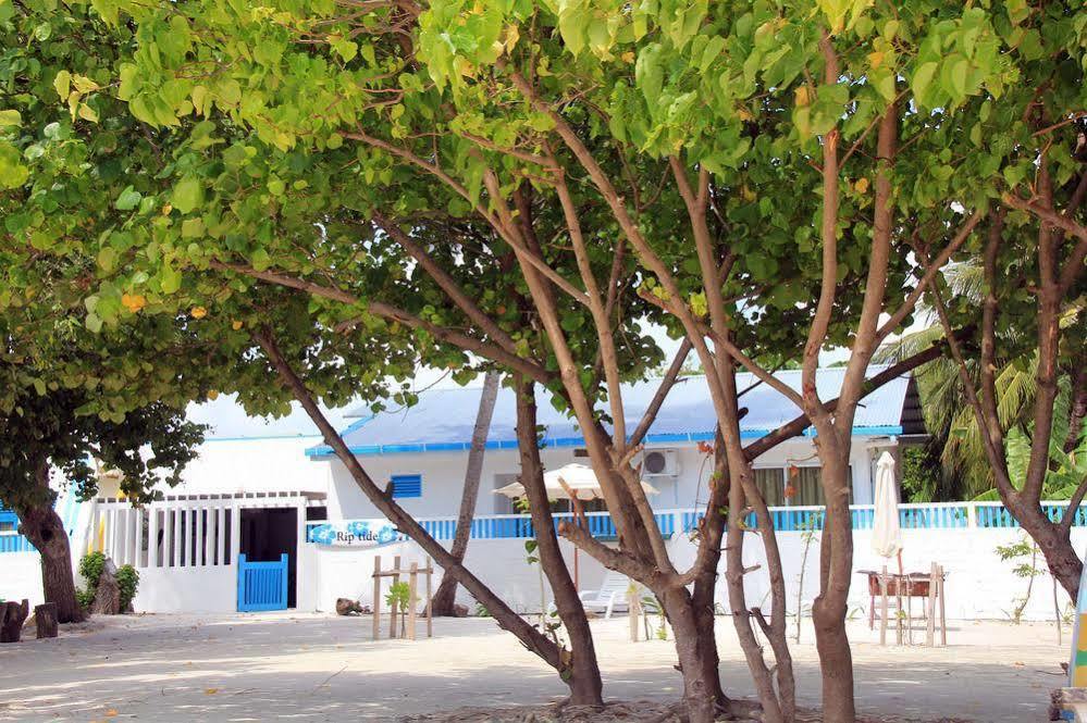 Rip Tide Vacation Inn, K.Guraidhoo Guraidhoo  Εξωτερικό φωτογραφία
